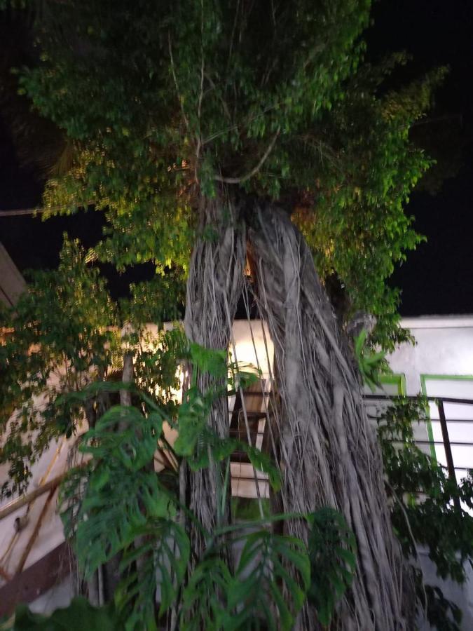Mundo Maya Tulum Pueblo Buitenkant foto